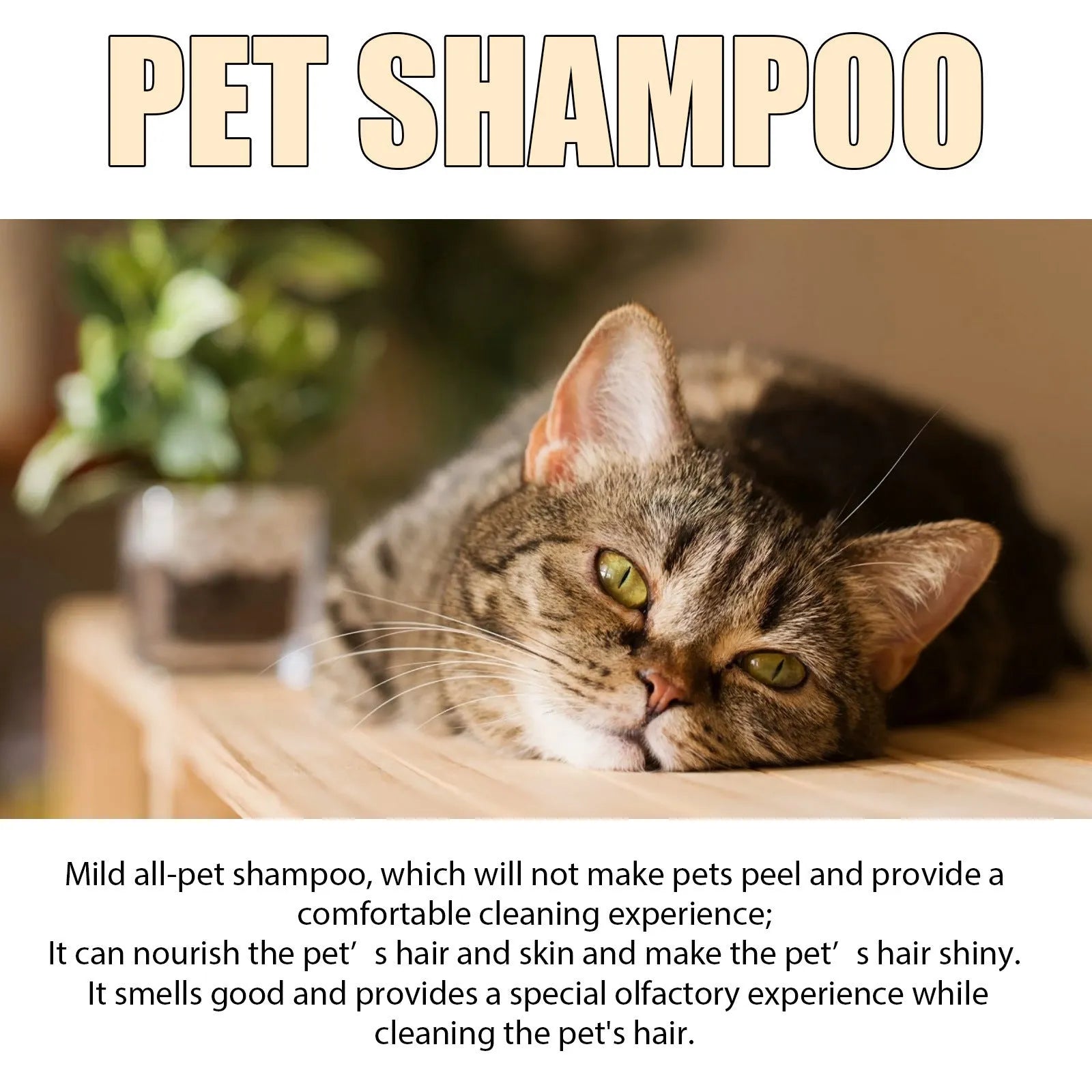 Mild dog shampoo bottle with pump dispenser in 100ml and 300ml sizes