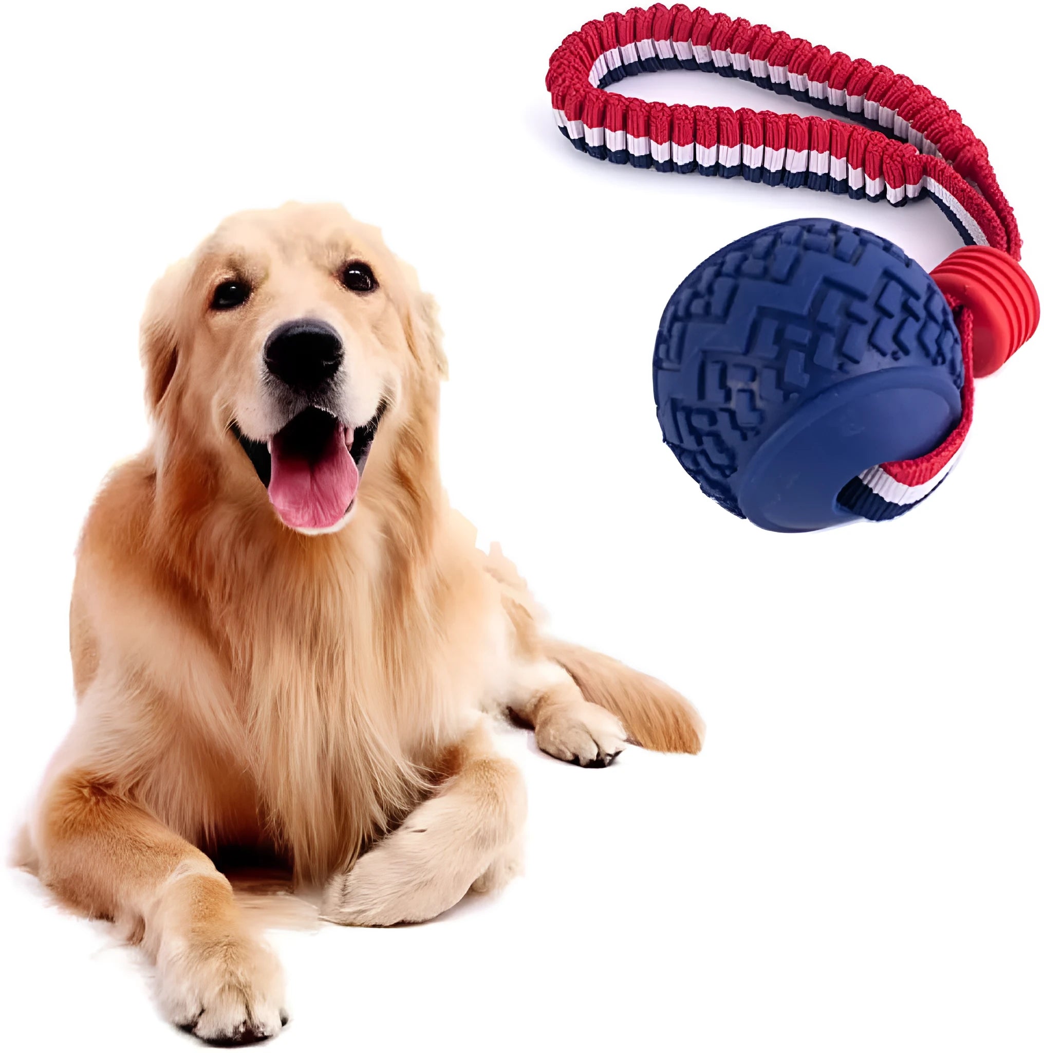 Blue dog ball with rope toy showing textured surface and 29cm length