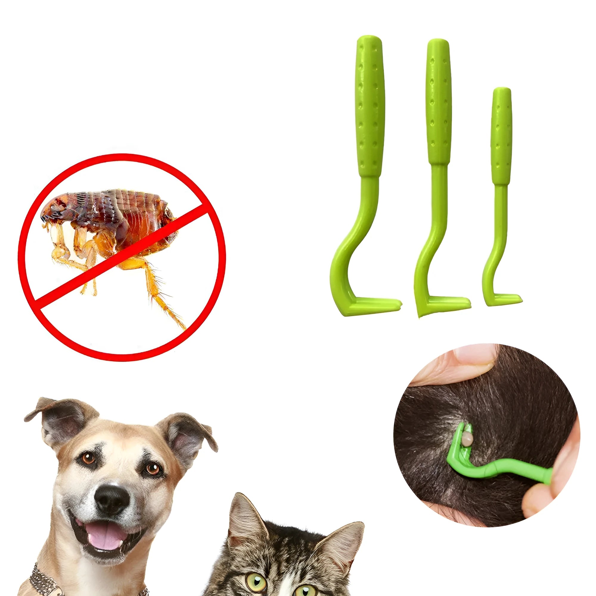 Set of three blue or green plastic pet tick and flea removal clips with hook design.