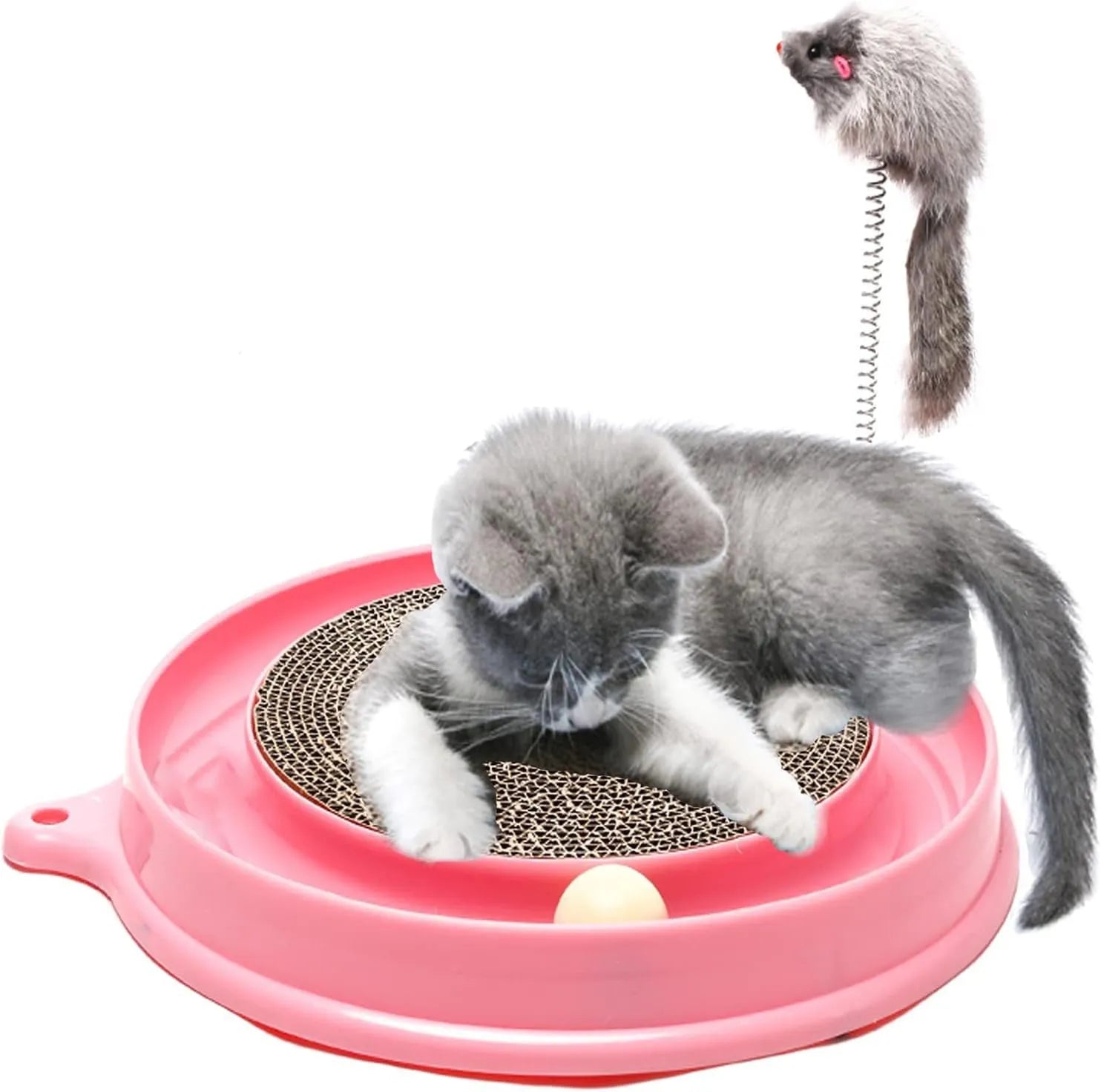 Blue cat scratcher toy with circular ball track and replaceable cardboard scratching surface