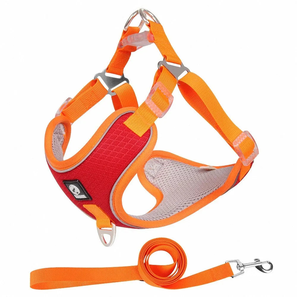 Adjustable polyester dog harness with reflective piping in black colour for small to medium dogs