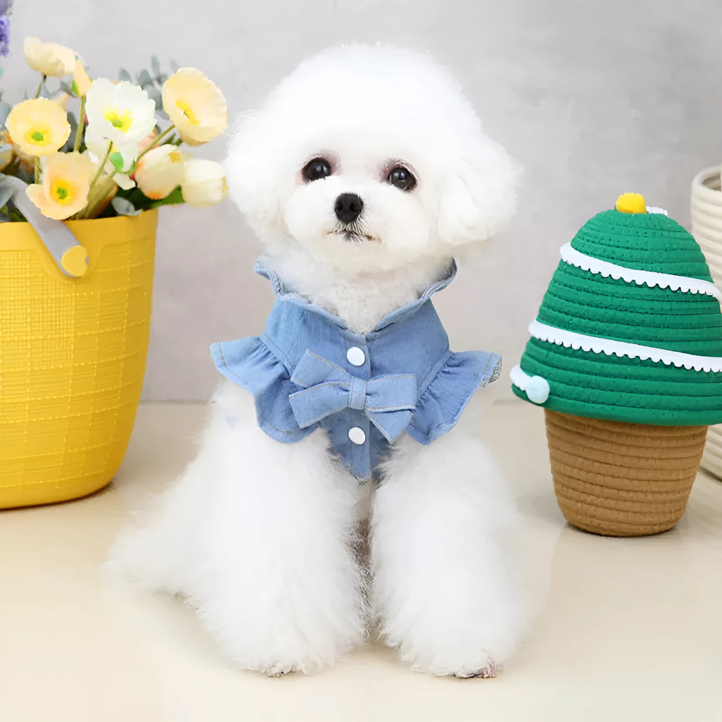 Blue denim pet dress with ruffle trim and leash hook attachments on chest and back