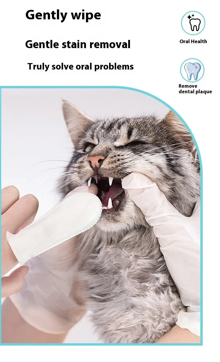 Pack of 50 non-woven fabric pet dental finger stalls for cleaning cat and dog teeth