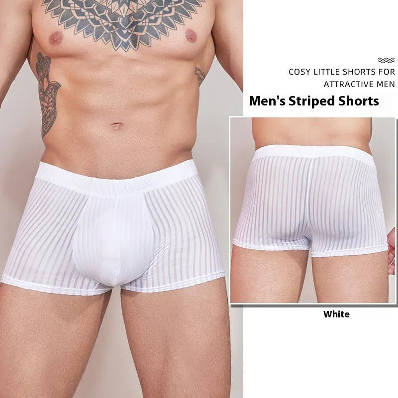 Men's striped nylon underwear in thin transparent fabric, black dark grey white colours