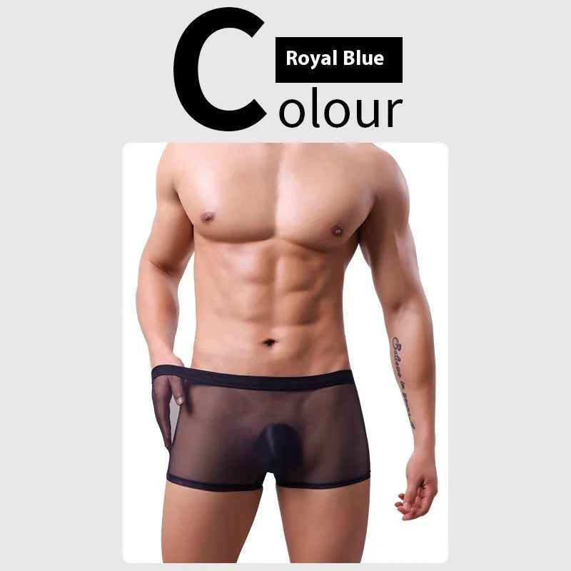 Men's mesh boxer briefs in thin sheer polyester fabric showing low waist design and breathable mesh texture
