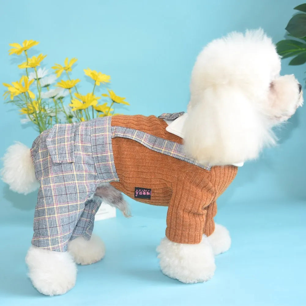 Dog wearing cotton shirt in orange or dark blue with collar and button design
