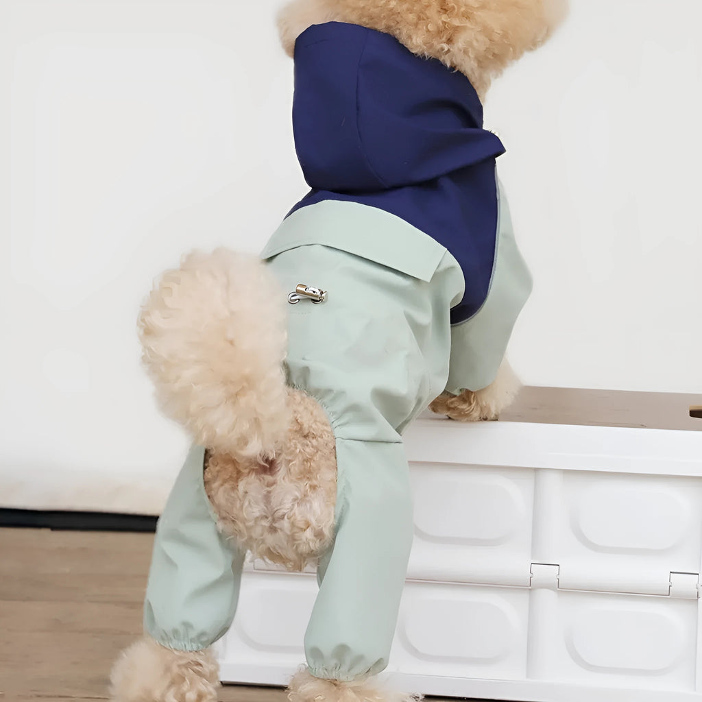 A dog wearing a khaki-coloured British-style waterproof shell jacket outdoors.