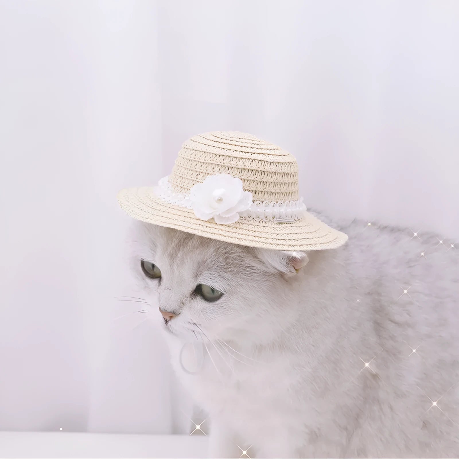 Handmade adjustable bowknot pet hat for dog or cat in cartoon style, showing colour options.