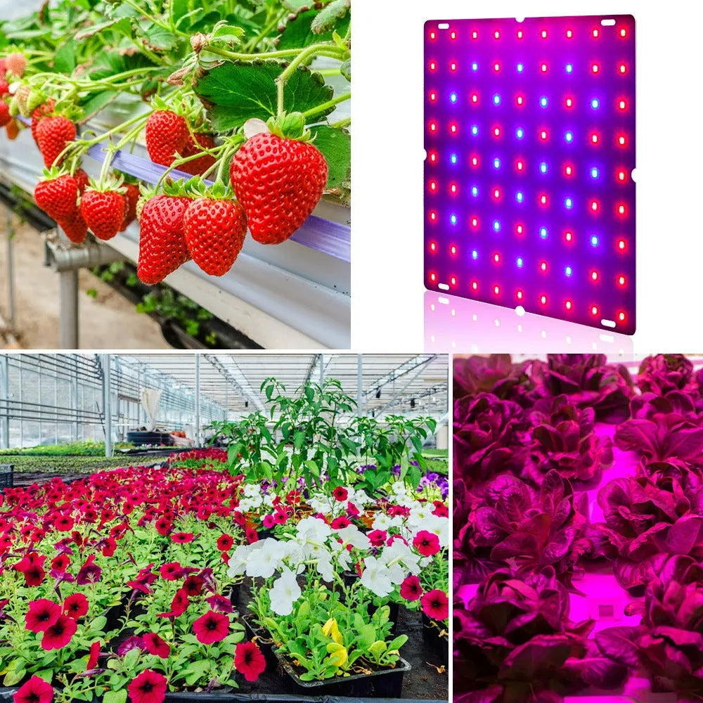 D-section bare board LED plant growth light with aluminium shell and 81 beads for indoor gardening