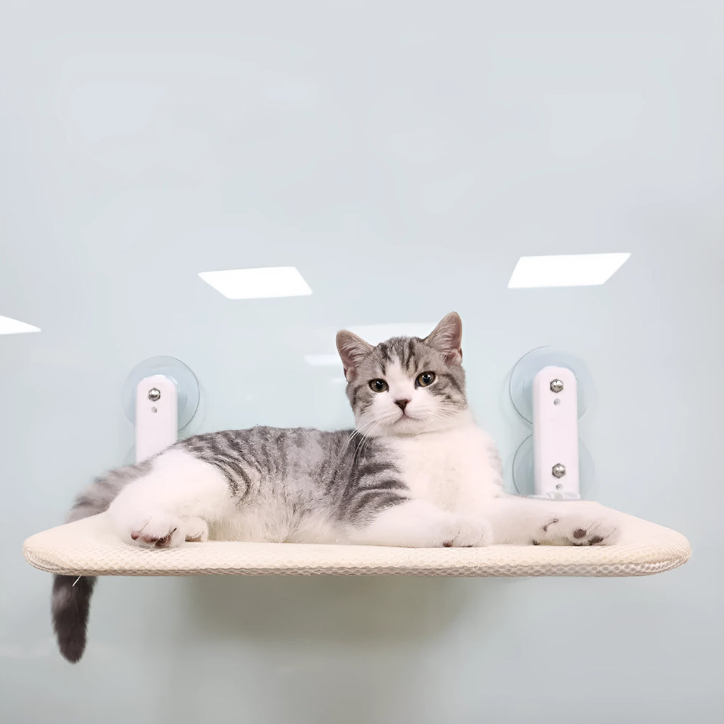 Universal grey mesh cat hammock with suction cups mounted on a window