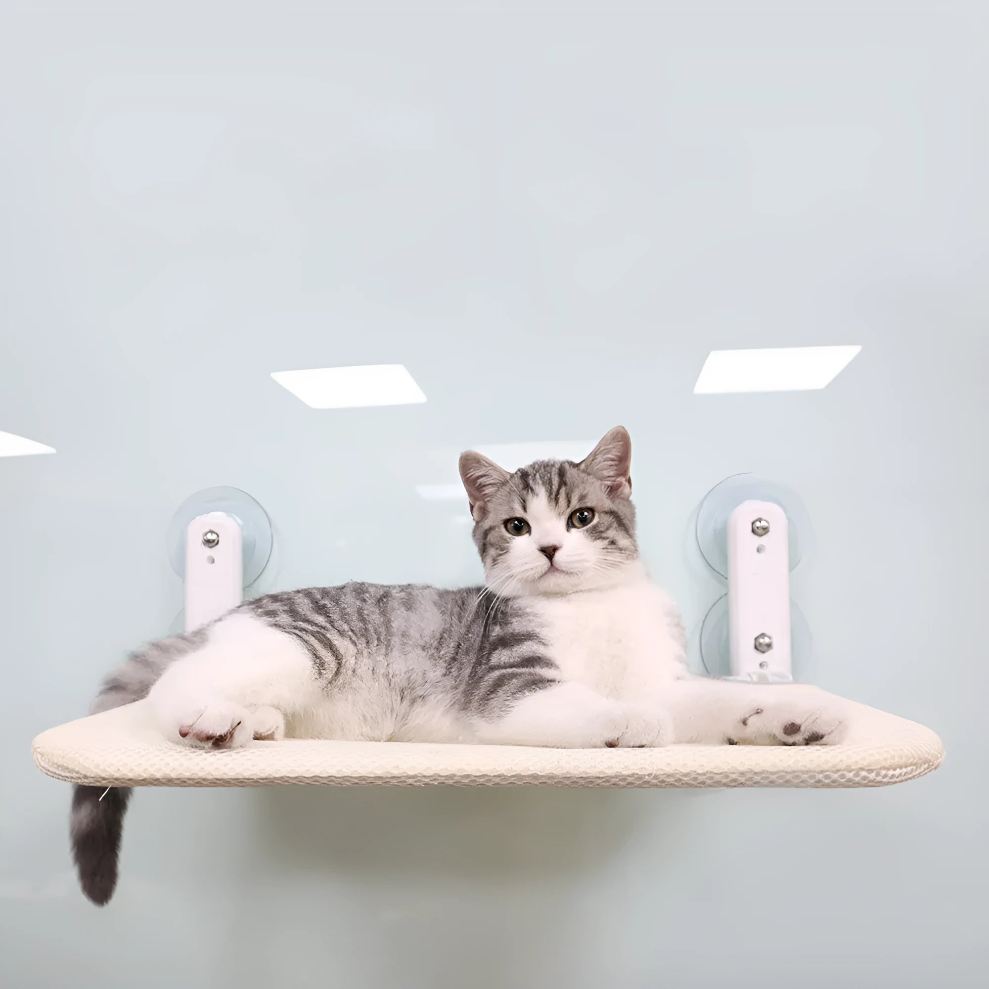 Universal grey mesh cat hammock with suction cups mounted on a window