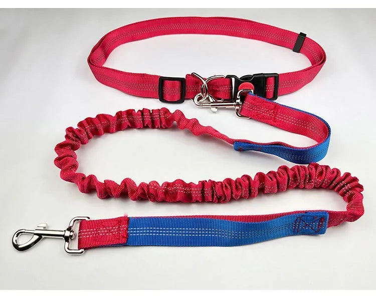 Grey and green two-tone reflective nylon dog leash showing 2.5cm width and clasp.