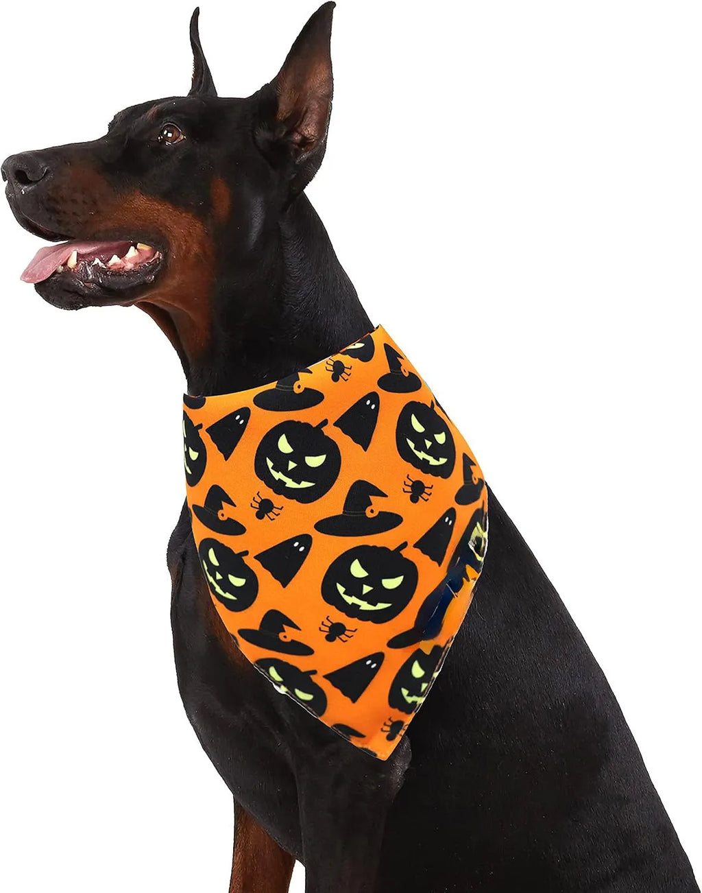 Halloween dog bandana showing reversible pumpkin and spider web patterns with adjustable neck closure