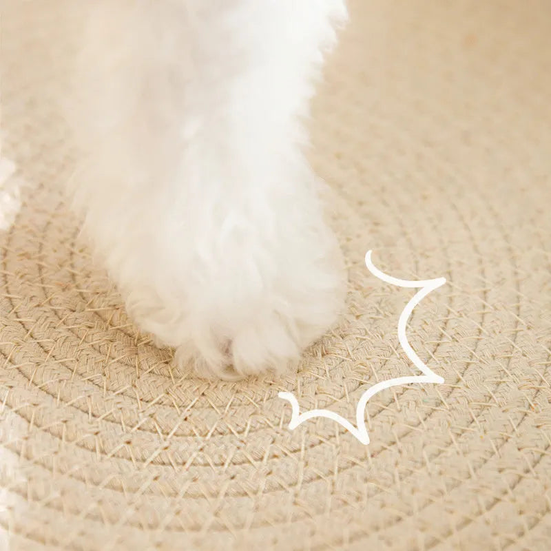 Green oval sisal cat scratching pad bowl serving as a cat bed and furniture protector