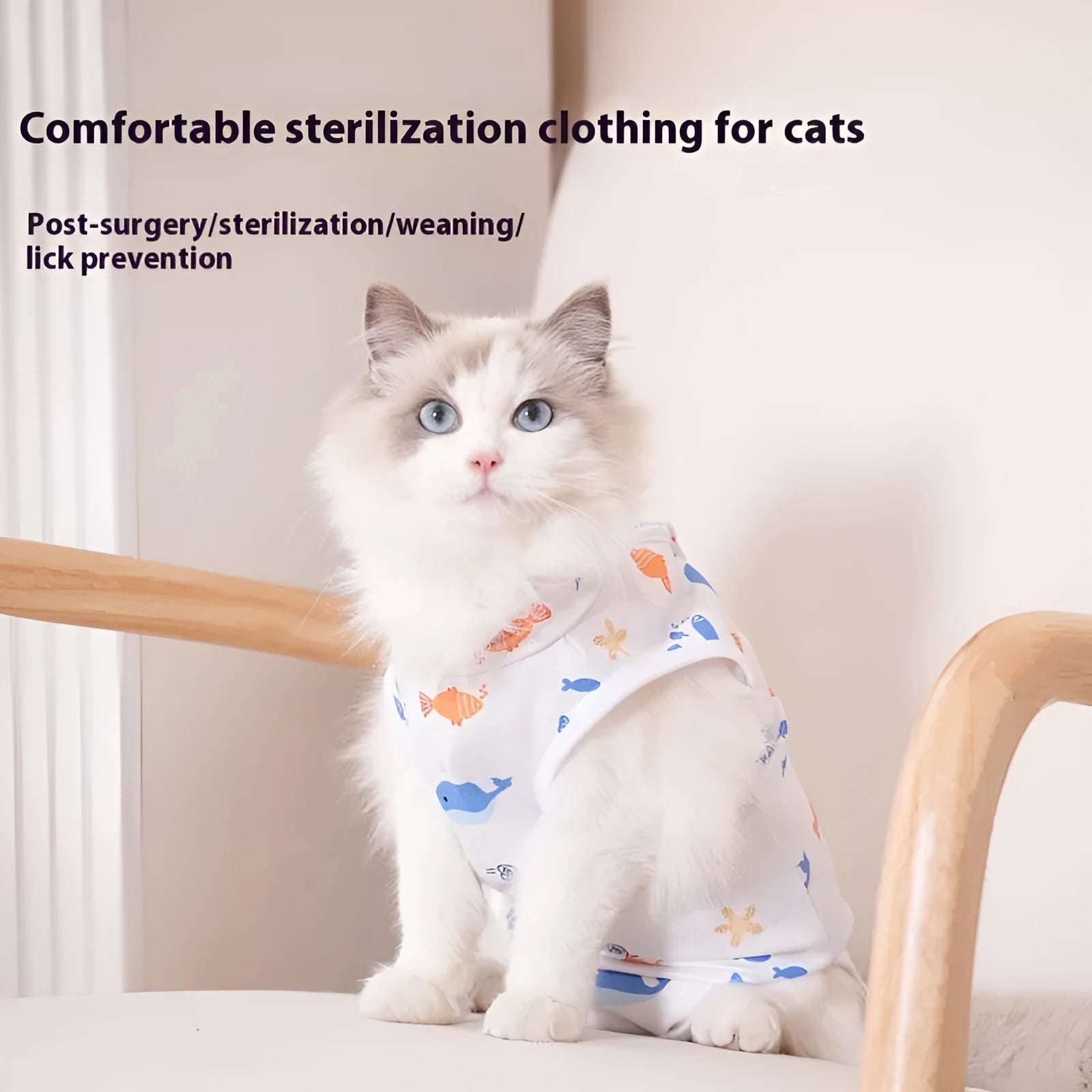 Cat wearing a blue printed polyester recovery suit after surgery, showing the Velcro fastening on its back.