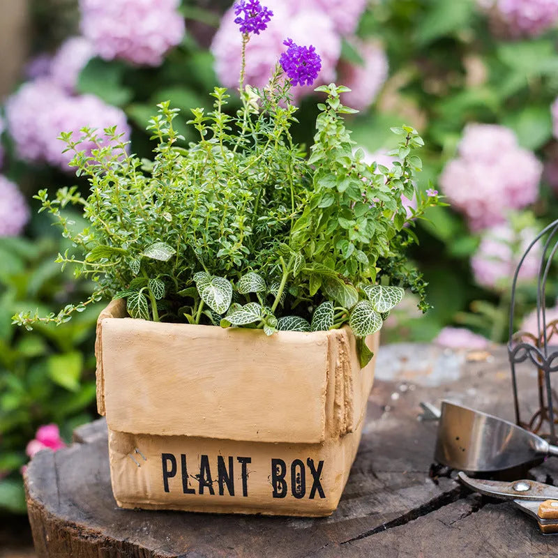 Cement flowerpot styled as a brown paper box with drainage hole for indoor balcony gardening