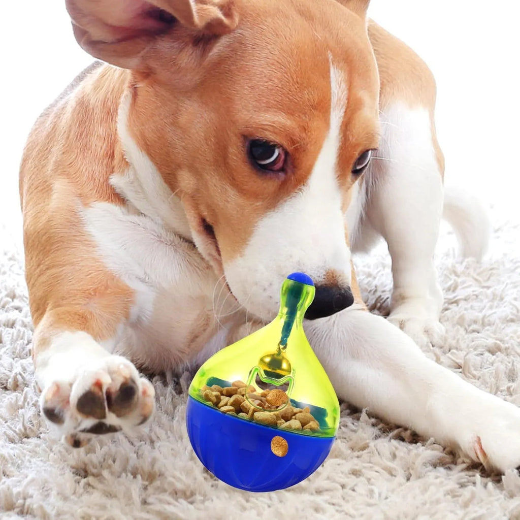 Interactive pet treat dispenser tumbler toy for dogs and cats showing rolling ball design