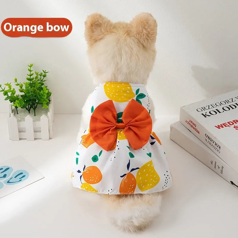 Orange bow floral butterfly pet dress with knot fastening on small dog
