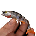 Fish T Tail catfish sea fishing soft lure artificial bait with realistic fish colour pattern