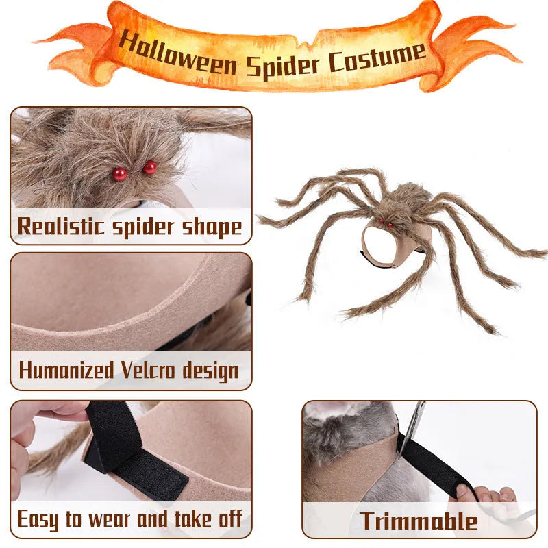 Grey Halloween spider costume for a small dog with eight legs