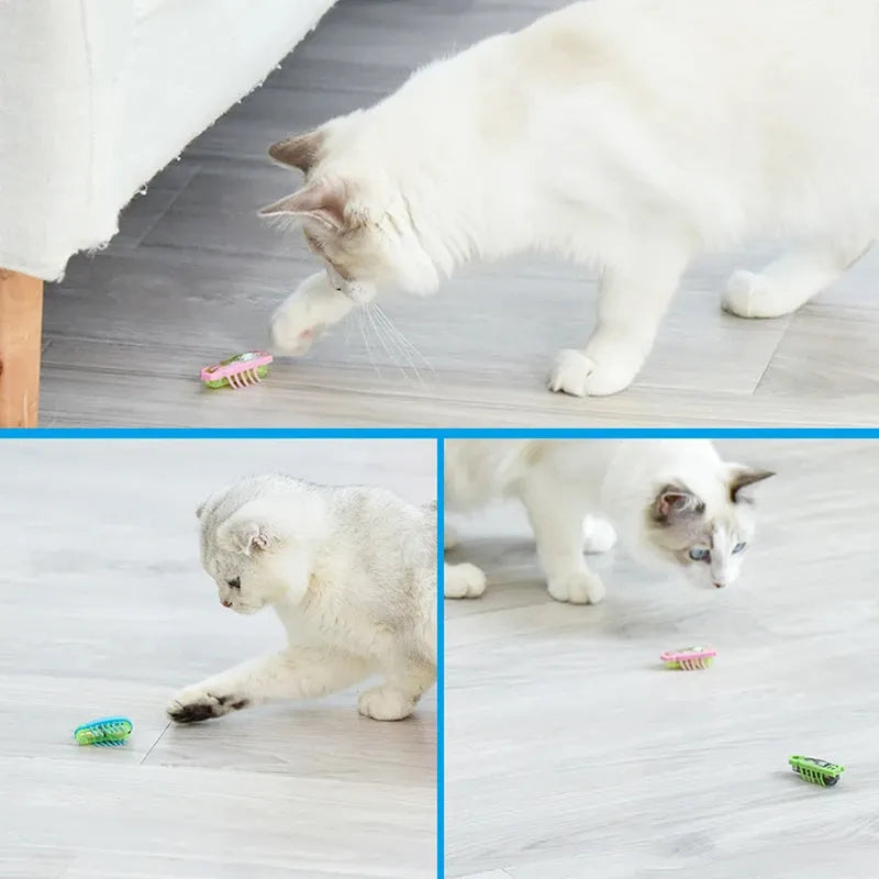 Small electric bug pet toy for cats and dogs with motorised walking legs