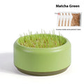 Hydroponic cat grass kit with plastic cup and five seed packets on a table