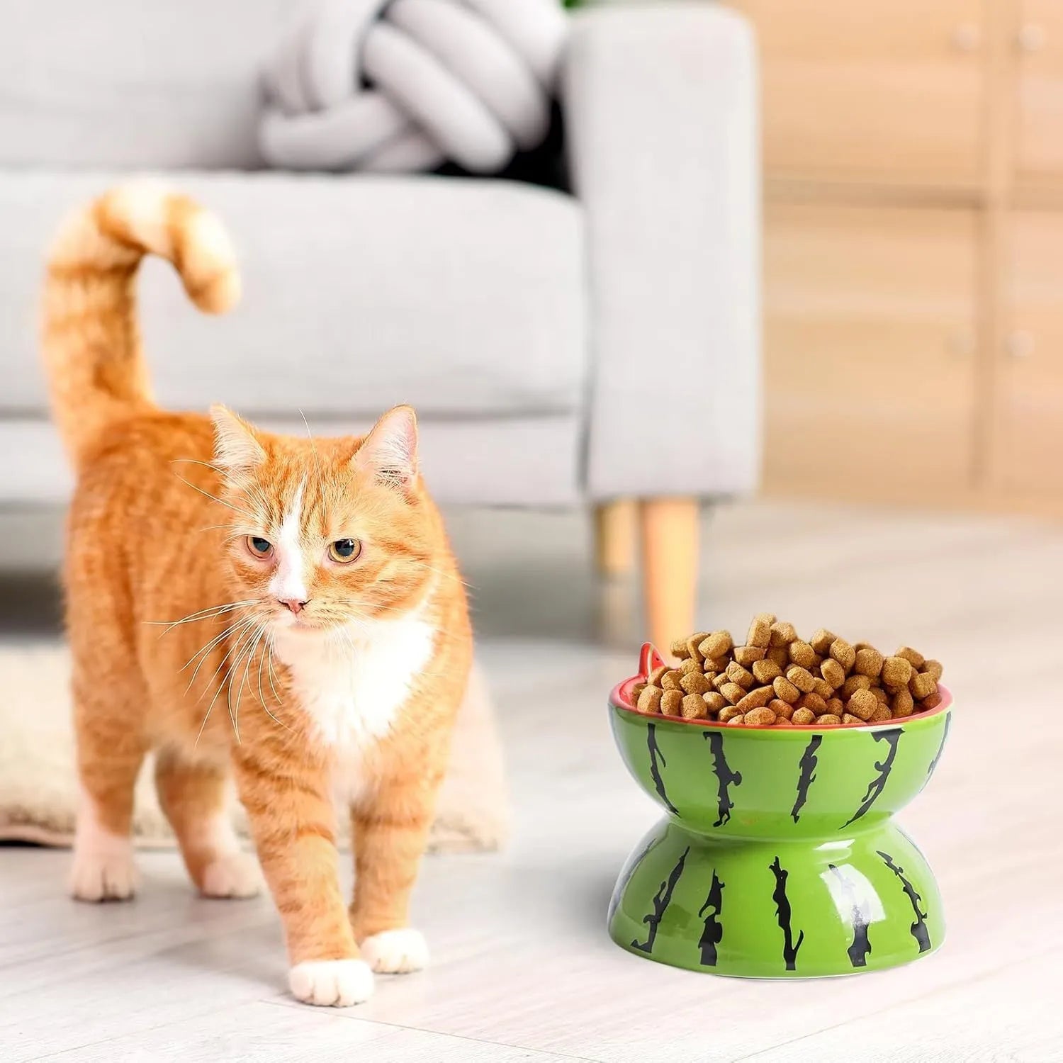 Ceramic raised cat bowl with tilted design in orange, pitaya, or watermelon colour options
