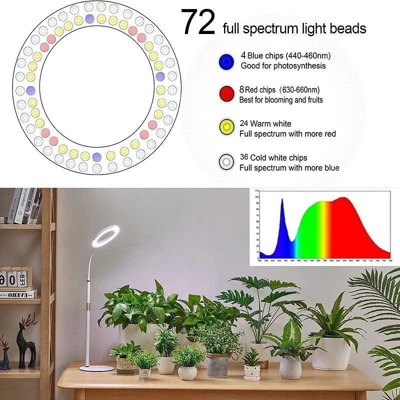 Adjustable floor-standing plant grow light with a circular angel ring head on a tall pole.