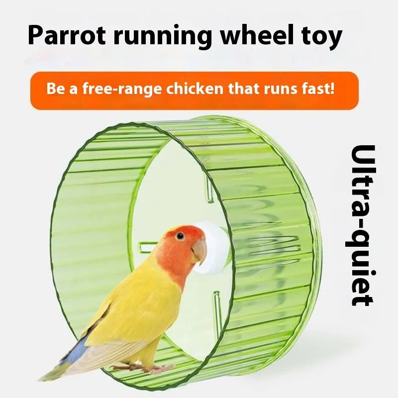 Parrot running wheel toy in plastic construction showing colour options and size comparison