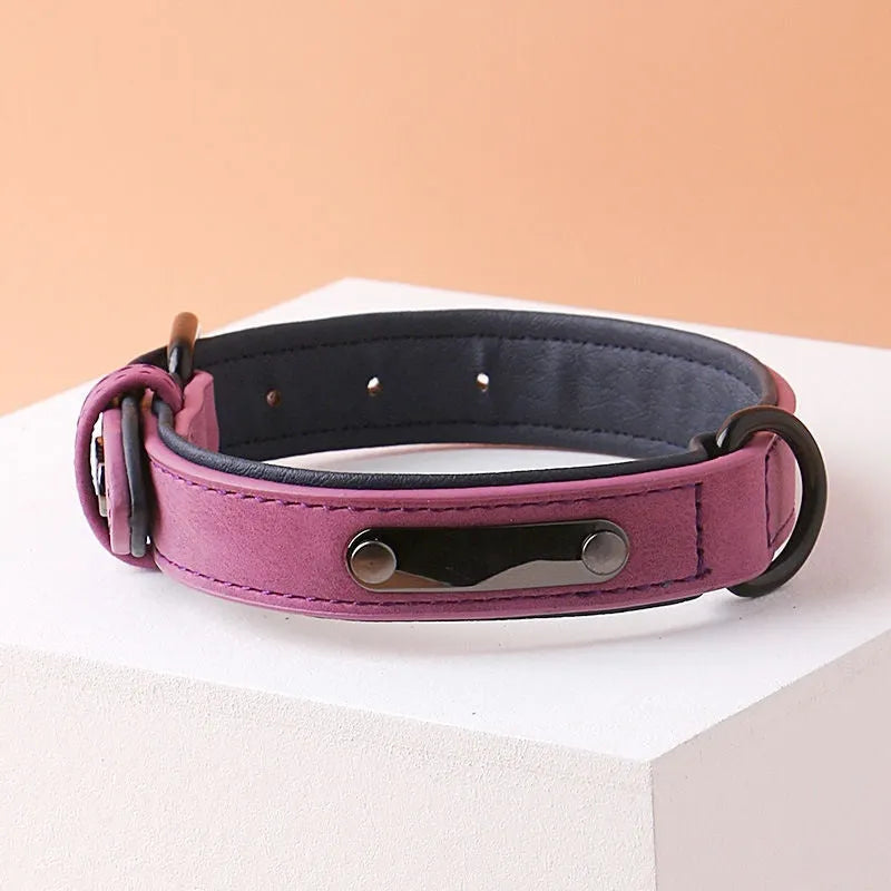Adjustable anti-loss dog collar in five colour options with metal buckle and double-layer construction