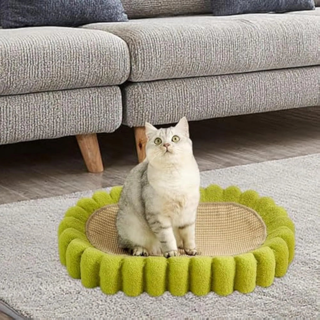 Green oval sisal cat scratching pad bowl serving as a cat bed and furniture protector