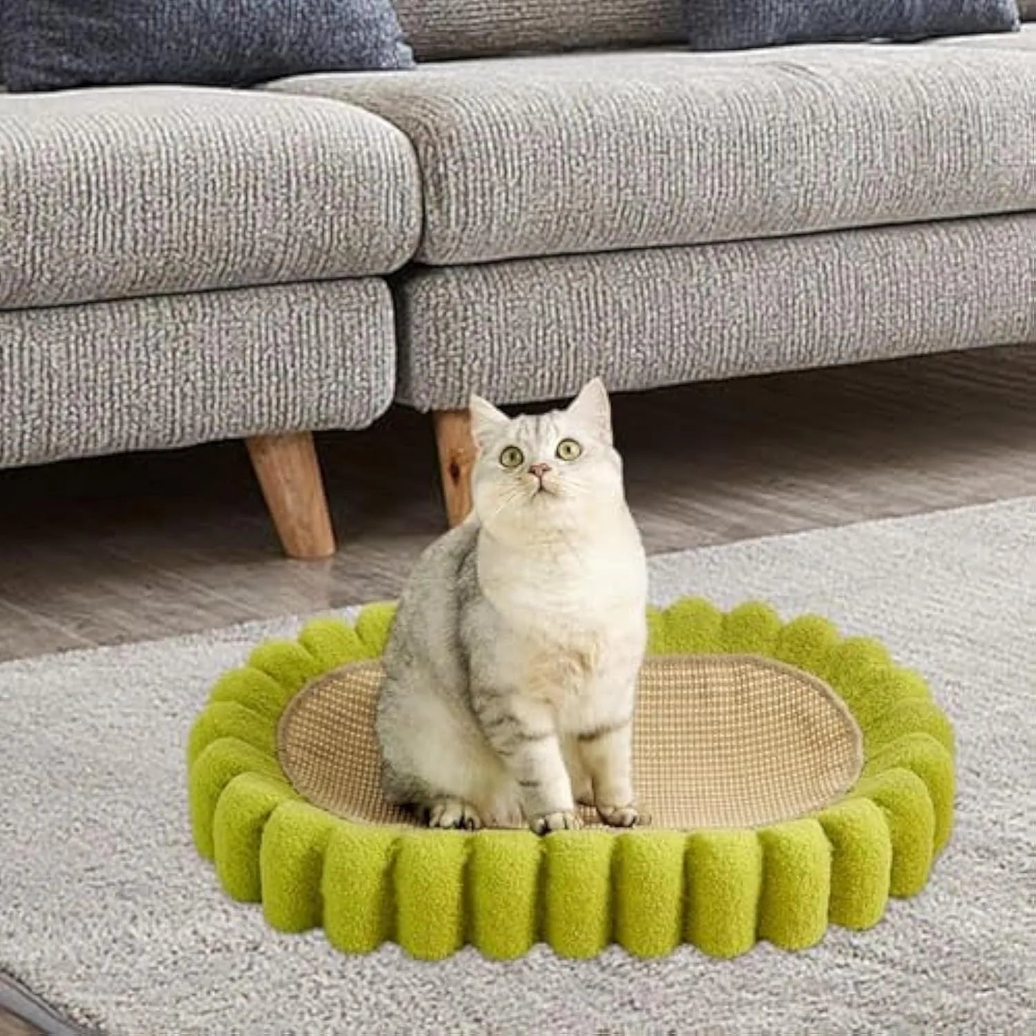 Green oval sisal cat scratching pad bowl serving as a cat bed and furniture protector