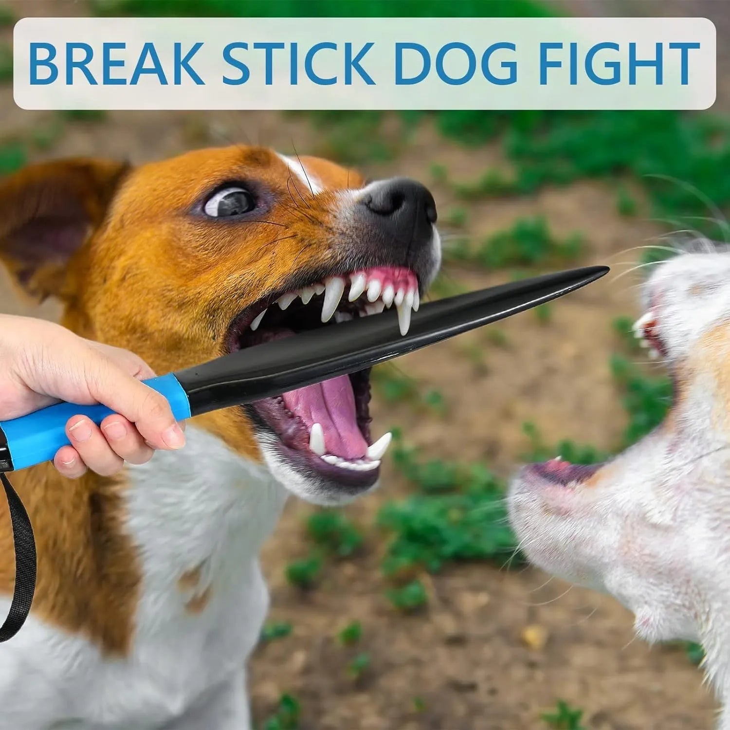 Blue handled dog break stick made of nylon, measuring 35 cm long, for training small and medium dogs.