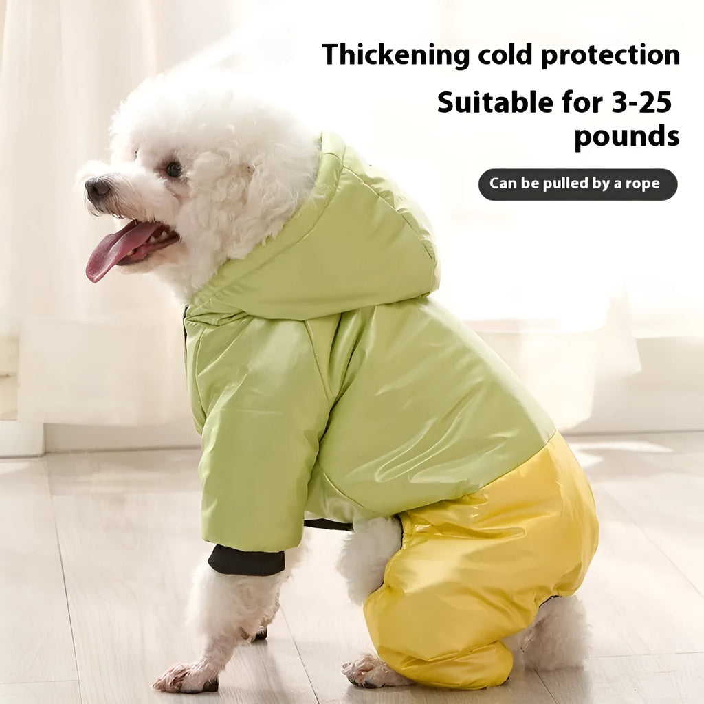 Green waterproof four-legged dog coat with cotton padding on small dog
