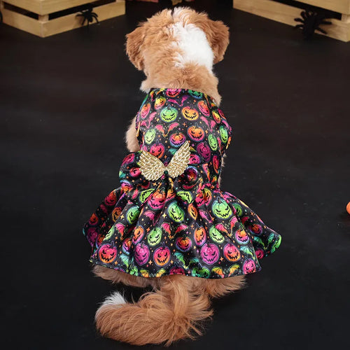 Orange angel wings Halloween costume for a dog on a black background.