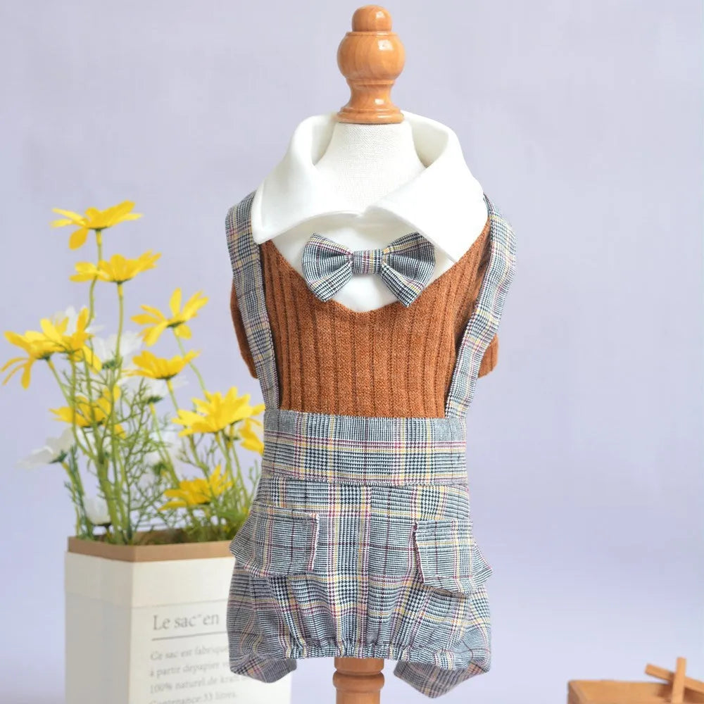 Dog wearing cotton shirt in orange or dark blue with collar and button design