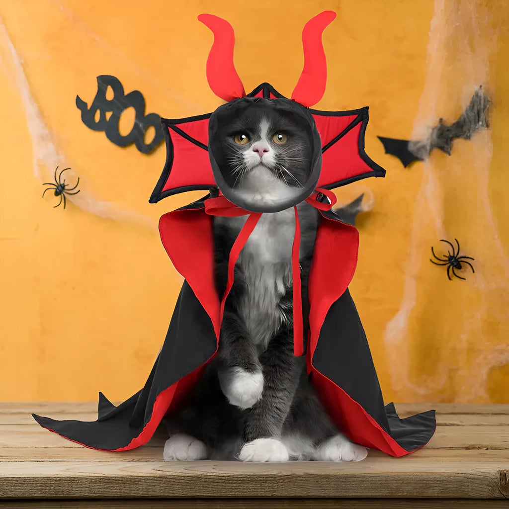 Black pet vampire costume with cloak and hat for Halloween dress up