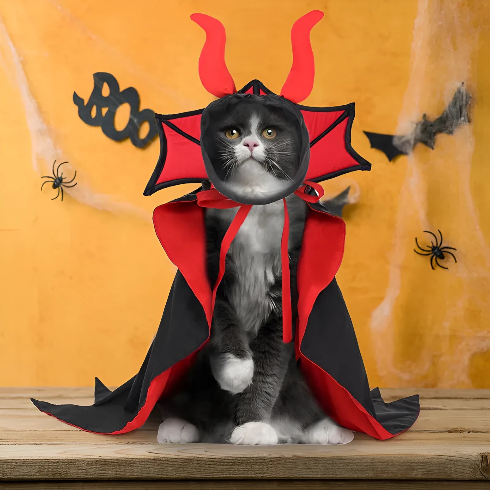Black pet vampire costume with cloak and hat for Halloween dress up