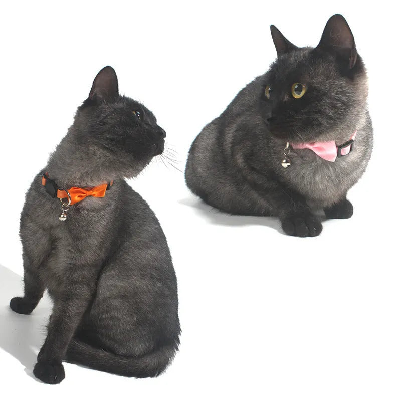 Adjustable nylon cat collar with decorative bow and bell in multiple colour options including red, blue, pink and green
