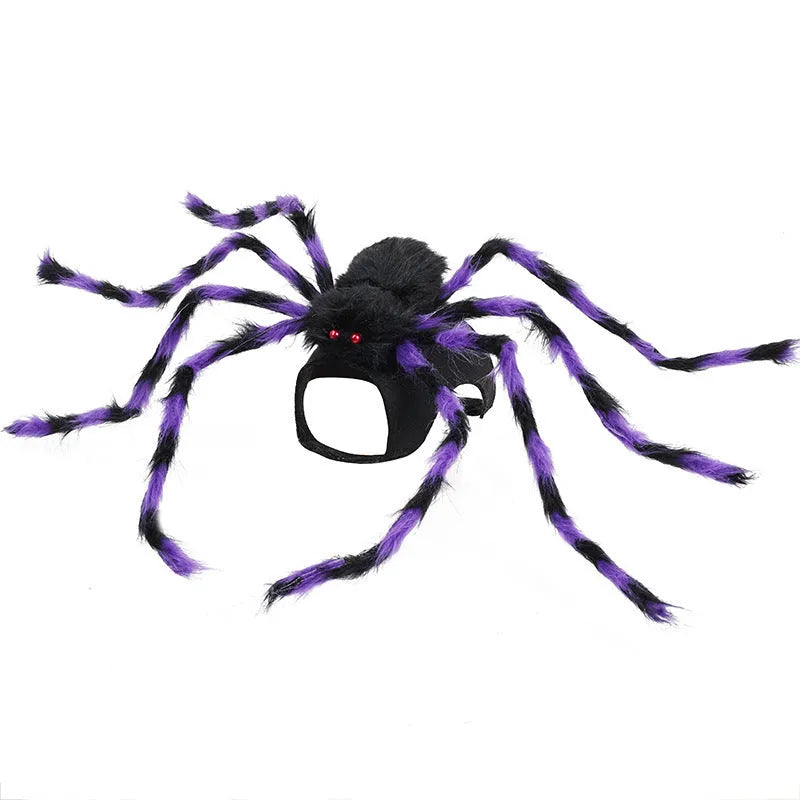 Grey Halloween spider costume for a small dog with eight legs