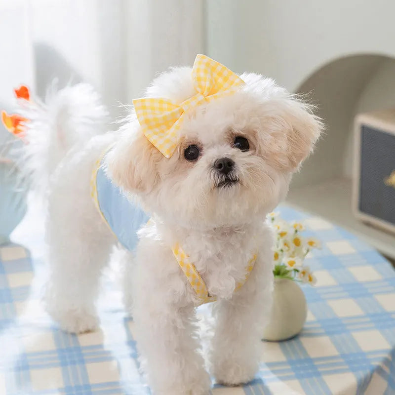 Small dog wearing heart bow suspenders vest in blue with elastic sides