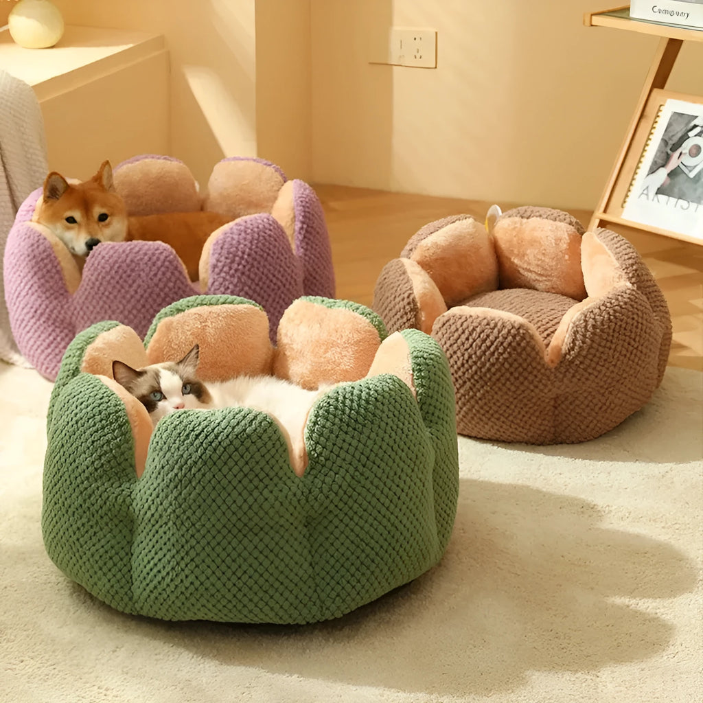 Green cactus petal shaped pet bed with non-slip bottom for cats and small dogs