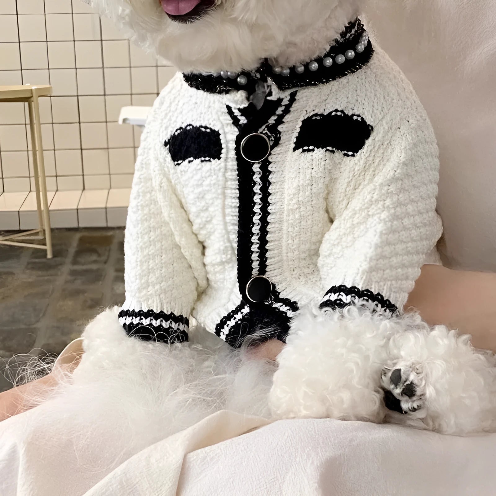 Korean princess style dog sweater with pearl collar for small dogs in black and white colours