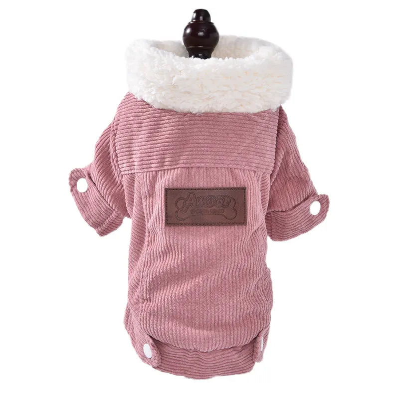 Grey lambswool dog vest with fleece lining for winter warmth on a small dog.