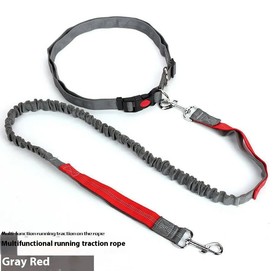 Grey and green two-tone reflective nylon dog leash showing 2.5cm width and clasp.
