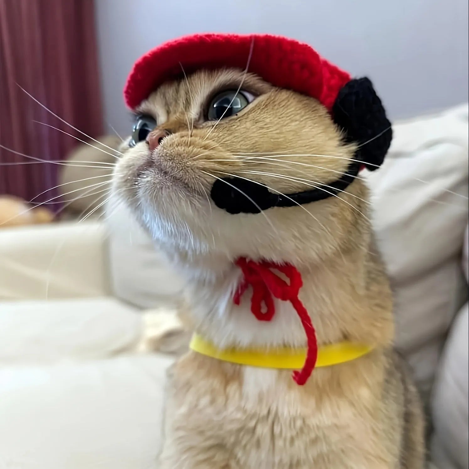 Handmade knitted cotton chef hat sweater costume on a small cat or dog