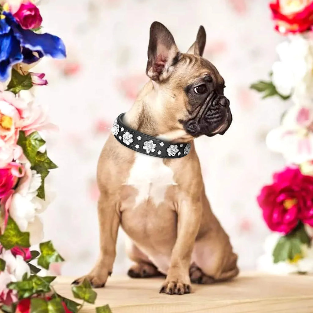 Close-up of a black PU leather dog collar with sparkling rhinestone flowers and a metal D-ring.