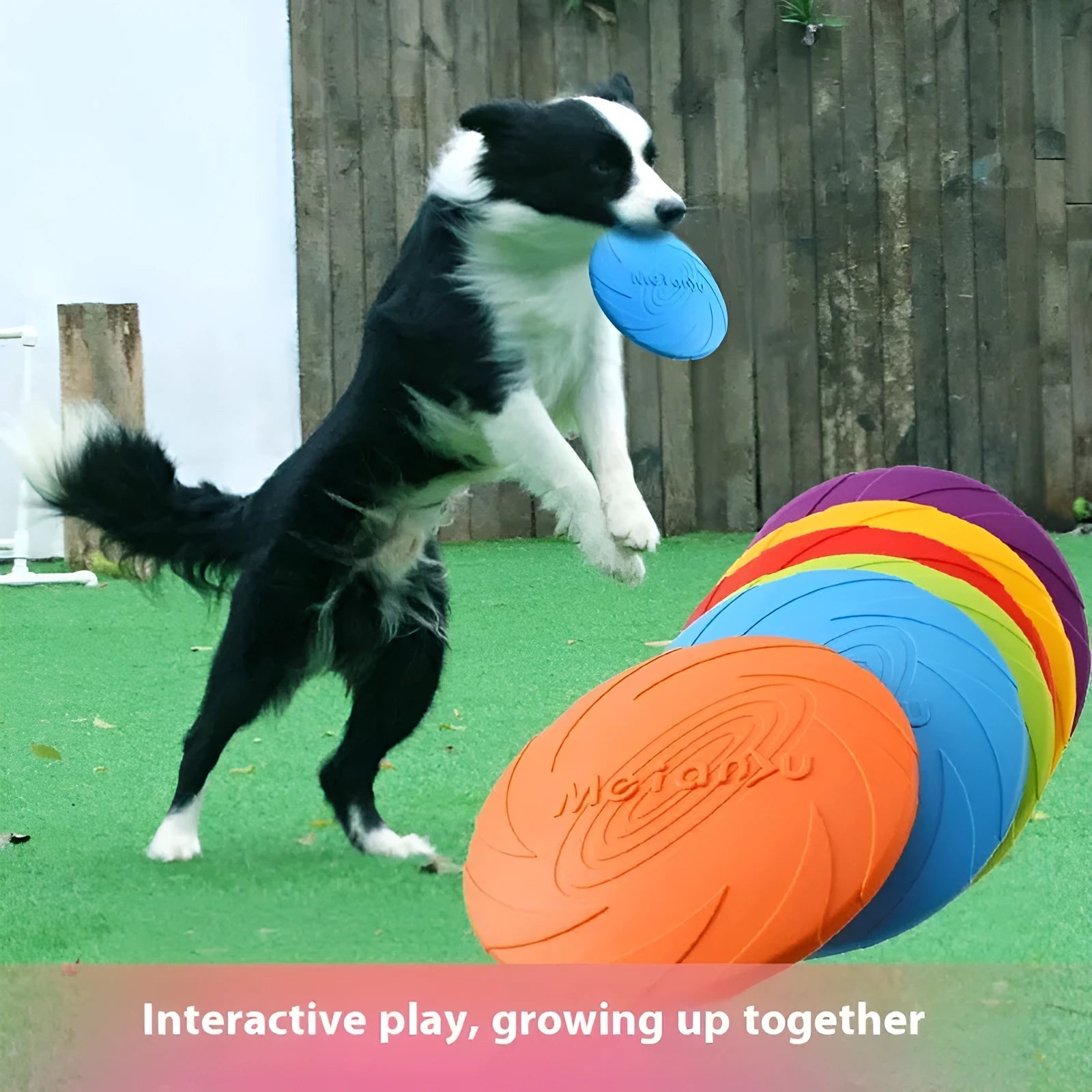 Soft rubber dog frisbee flying disc toy shown in blue, available in small, medium, and large sizes.