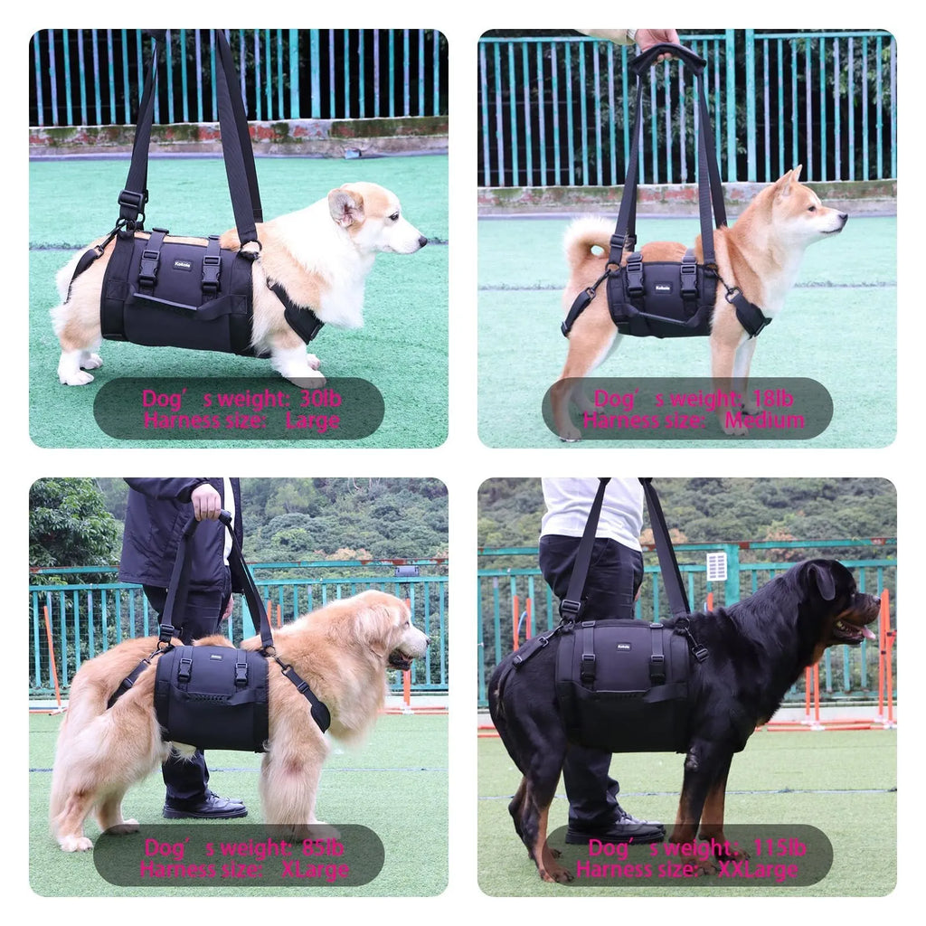 Black Oxford cloth dog harness for outdoor leg support and rehabilitation training.