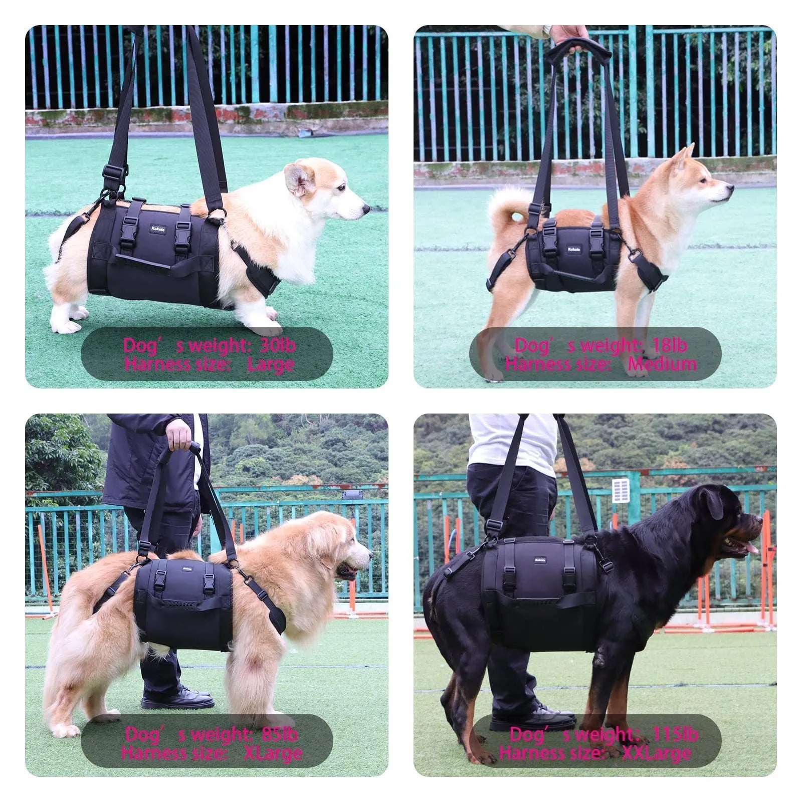 Black Oxford cloth dog harness for outdoor leg support and rehabilitation training.